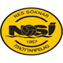 team-logo
