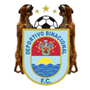 team-logo