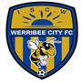 team-logo