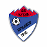 team-logo