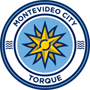 team-logo