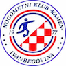 team-logo