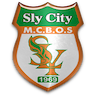 team-logo