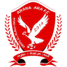 team-logo