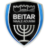 team-logo