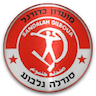 team-logo