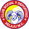 team-logo
