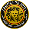 team-logo