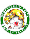 team-logo