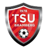 team-logo