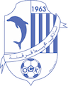 team-logo