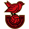 team-logo
