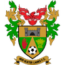 team-logo