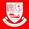 team-logo