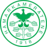 team-logo