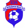 team-logo
