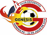 team-logo