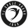 team-logo