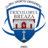team-logo