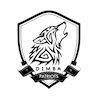 team-logo