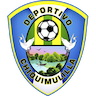 team-logo