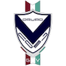 team-logo