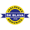 team-logo