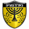 team-logo